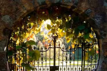 Mê mẩn 12 mẫu cổng nhà được ưa chuộng nhất năm 2017