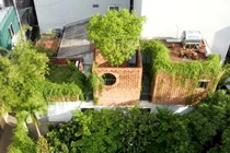 Ngôi nhà sở hữu nhiều khu vườn xanh mướt trong ngõ nhỏ Hà Nội 