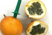 Sự thật chanh leo xách tay Colombia giá 120 ngàn đồng/quả