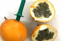 Sự thật chanh leo xách tay Colombia giá 120 ngàn đồng/quả