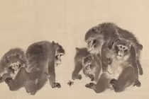 Tử vi tuần mới (12/12 - 18/12): top 3 con giáp lộc về ùn ùn 