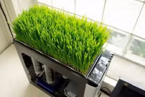 Bật cười xem ảnh hài hước về chiếc máy tính