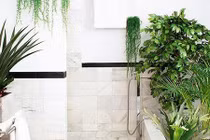 Biến nhà tắm xanh đẹp, thoáng mát như spa nhờ cách này