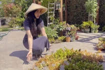 Biệt thự vườn của Hà Thanh Xuân trước khi thành vợ “Vua cá Koi“