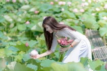 Chụp ảnh sen: Hoa nở rộ, chủ đầm “hốt” bạc triệu mỗi ngày