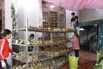 Làng sản xuất bánh chưng Hà Nội tất bật ngày cuối năm