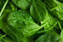 Cải bó xôi rất tốt nhưng nấu theo cách này thì gây hại khó lường 