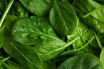 Cải bó xôi rất tốt nhưng nấu theo cách này thì gây hại khó lường 