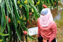 Dự báo thời tiết ngày 18/6: Nắng nóng gay gắt, có nơi 39 độ