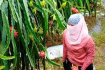 Dự báo thời tiết ngày 18/6: Nắng nóng gay gắt, có nơi 39 độ