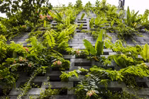 Nhà Đà Nẵng ghép 700 viên đá ong xanh mát như vườn treo Babylon 