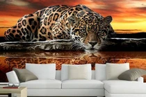 “Sốt xình xịch” 10 mẫu giấy dán tường hot nhất 2017