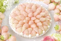 Điều chưa biết về dâu tây giá tiền triệu, khách vẫn đua nhau mua 