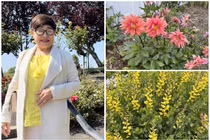 Ngôi nhà ngập hoa thơm tại Mỹ của vợ cũ Đàm Vĩnh Hưng 