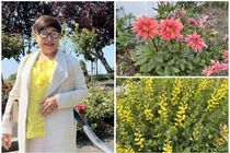 Ngôi nhà ngập hoa thơm tại Mỹ của vợ cũ Đàm Vĩnh Hưng 