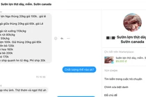 Thịt lợn nhập ngoại loạn giá trên chợ mạng khiến người dân hoang mang CA TRUC 95