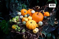 Hàng loạt đồ trang trí Hallowen độc lạ đổ bộ chợ mạng