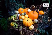 Hàng loạt đồ trang trí Hallowen độc lạ đổ bộ chợ mạng