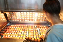 Bão COVID-19 khiến nhiều ngành “khóc”, riêng loạt công ty này lãi lớn 