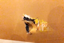 Xe thang đâm thủng vỏ máy bay Boeing 787 tại Tân Sơn Nhất