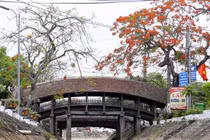 Tận mục cầu Ngói 500 năm tuổi đẹp nhất miền Bắc