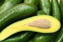 Bơ dài hàng mét, giá tiền triệu vẫn “đắt như tôm tươi” 