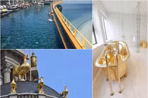 “Thú chơi ngông” dát vàng gây xôn xao của đại gia Việt