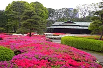 Ngắm khu vườn xanh mướt trong cung điện Hoàng gia Nhật Bản