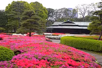 Ngắm khu vườn xanh mướt trong cung điện Hoàng gia Nhật Bản