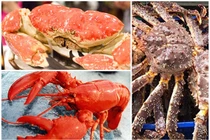 Cua hoàng đế, cua Úc, tôm hùm Alaska đi máy bay... đắt đỏ dịp cận Tết