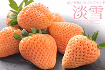 Trái cây Nhật Bản siêu đắt đỏ hút khách nhà giàu Việt dịp Tết