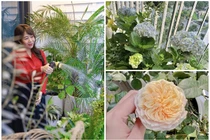 Ngắm khu vườn xanh mướt trong căn hộ của BTV Diệp Chi 