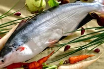 Cá “đại gia” nức tiếng Nam Bộ đắt cỡ nào? 