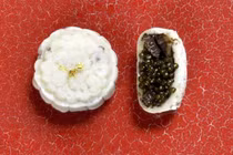 Bánh Trung thu độc lạ ở Trung Quốc