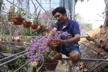 Vườn lan rừng tiền tỷ của cử nhân công nghệ 8X