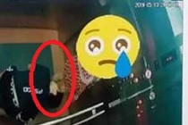 Lộ diện người có hành vi khiếm nhã trong thang máy ở chung cư tại Bình Định