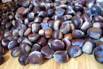 Sự thật "choáng" về hạt dẻ Trùng Khánh, Sapa tràn ngập thị trường