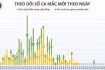 Bệnh nhân 271 từng dương tính trước khi bay sang Việt Nam