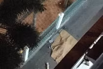 Rơi từ lầu cao, người phụ nữ chết trong khuôn viên ĐH Công nghiệp TPHCM