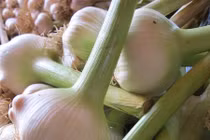 Loại tỏi đang gây tranh cãi ở Việt Nam có gì lạ?