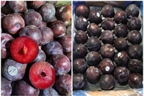 Rẻ hơn mận Việt đầu mùa, mận Úc khổng lồ khiến thượng đế “đốt ví“