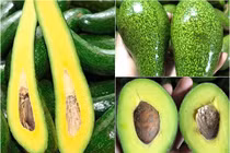 Nhìn đúng điểm này để phân biệt bơ chín cây và bơ ngâm hóa chất