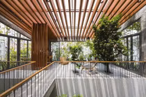 “Trốn” nóng trong ngôi nhà phủ kín cây xanh ở Sài Gòn