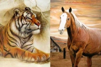 3 cặp con giáp khắc khẩu nhưng là định mệnh trời sinh, càng bên nhau càng phú quý