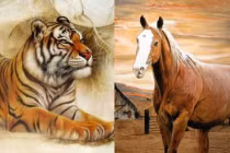 3 cặp con giáp khắc khẩu nhưng là định mệnh trời sinh, càng bên nhau càng phú quý