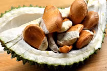 Vì sao hạt sầu riêng lên cơn sốt, bán đắt hơn quả?