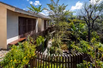 Mê mẩn biệt thự “ngợp trời” cây lá ở Buôn Ma Thuột