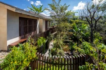 Mê mẩn biệt thự “ngợp trời” cây lá ở Buôn Ma Thuột