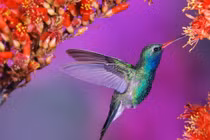 Ai sinh ngày Âm lịch này sống có trách nhiệm