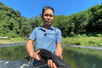 Thoát nghèo nhờ nuôi cá tầm